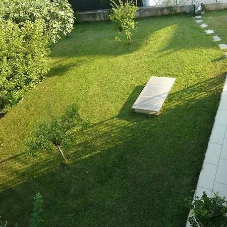 Harmony 布索伦戈